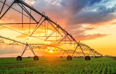 Irrigation Tires: Driving Efficiency and Boosting Yields in Modern Farming-0